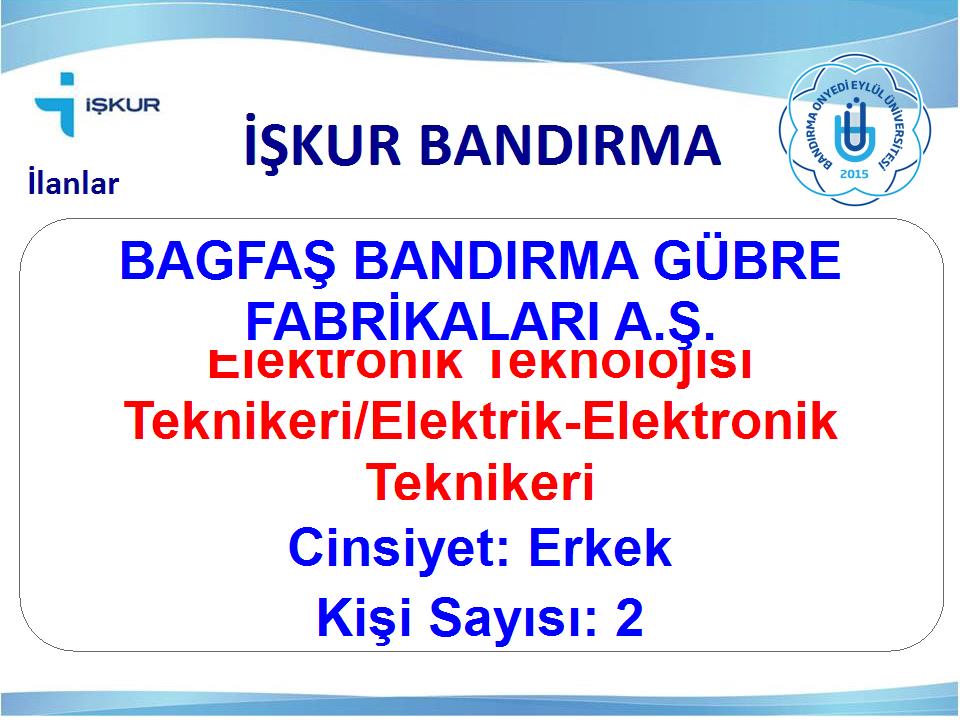 Elektronik Teknolojisi Teknikeri/Elektrik-Elektronik Teknikeri - BAGFAŞ BANDIRMA GÜBRE FABRİKALARI A.Ş.
