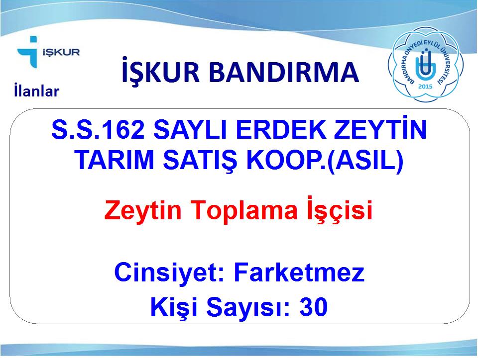 Zeytin Toplama İşçisi - S.S.162 SAYLI ERDEK ZEYTİN TARIM SATIŞ KOOP.(ASIL)